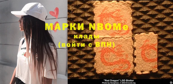 индика Алзамай