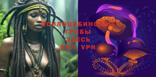 индика Алзамай