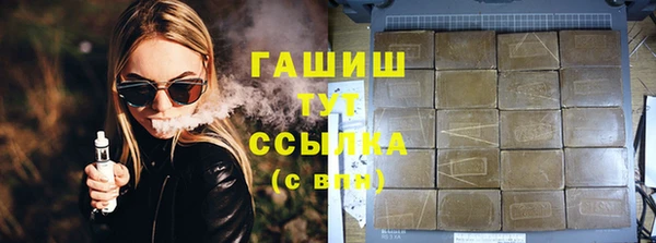 индика Алзамай