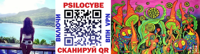 купить закладку  Нальчик  Псилоцибиновые грибы Psilocybine cubensis 