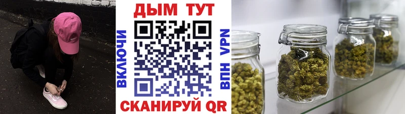 Марихуана семена  omg ONION  Нальчик 